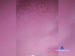 Nikitos999-1 bongacams livecam show performer room profile