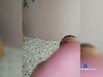 Fanfakintastik bongacams livecam show performer room profile