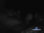 MarcDog54 bongacams livecam show performer room profile