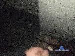 01Predator01 bongacams livecam show performer room profile