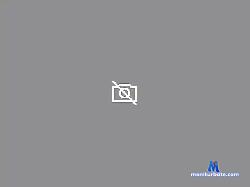 vovilo47 bongacams live cam performer profile