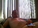 hotron3 bongacams livecam show performer room profile