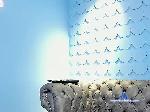 stephanymonro bongacams livecam show performer room profile