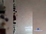 Seeddick bongacams livecam show performer room profile