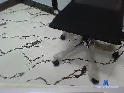 fred407 bongacams live cam performer profile