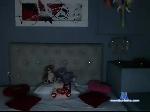 niky-doll- bongacams livecam show performer room profile