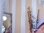 Molly-Bonnie bongacams livecam show performer room profile