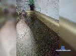 SiriusSsmyli bongacams livecam show performer room profile