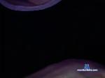 Jony1147 bongacams livecam show performer room profile