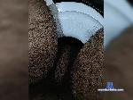 Alex19933011 bongacams livecam show performer room profile