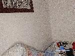 andrusinss bongacams livecam show performer room profile
