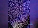 Makx3489 bongacams livecam show performer room profile