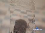 Nikita2023-1 bongacams livecam show performer room profile