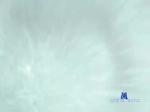 Tonny-Smit bongacams livecam show performer room profile