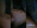 Mandarinhiki bongacams livecam show performer room profile