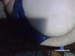 morrrion bongacams livecam show performer room profile