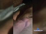 igorxxxxmmmm bongacams livecam show performer room profile