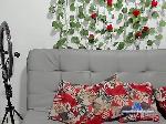 Hotlesbis2022 bongacams livecam show performer room profile