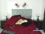 rodrigo-vid bongacams livecam show performer room profile