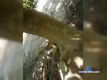 Caliente126 bongacams livecam show performer room profile