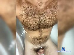 Catswill bongacams live cam performer profile