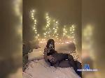 hot-coffee bongacams livecam show performer room profile