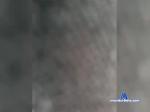 Maloy17cma bongacams livecam show performer room profile