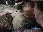 Megobot1 bongacams livecam show performer room profile