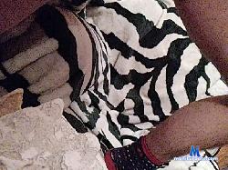 kazafact bongacams live cam performer profile