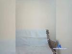 Wannder1303 bongacams livecam show performer room profile