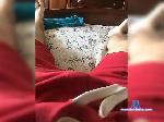 Nik2513 bongacams livecam show performer room profile