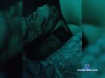 Alexa19 bongacams livecam show performer room profile