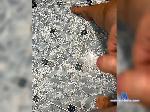 Hant28 bongacams livecam show performer room profile
