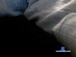 docs-12 bongacams livecam show performer room profile