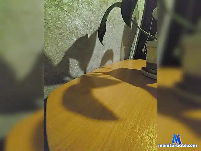 dimassi1072 bongacams performer male