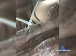 MarinaExcite bongacams livecam show performer room profile