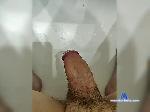 Fitch35 bongacams livecam show performer room profile