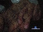 Fuckdevilf bongacams livecam show performer room profile