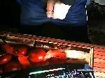 kontalagi1992 bongacams livecam show performer room profile
