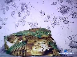 DikiyBoss6667 bongacams live cam performer profile