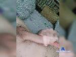 Foxlit-1 bongacams livecam show performer room profile