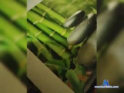 Panterakiss bongacams live cam performer profile