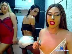 theprohibite bongacams live cam performer profile