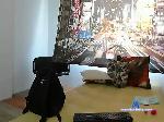 sebastianhot3 bongacams livecam show performer room profile