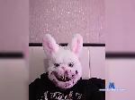 Cvarlie bongacams livecam show performer room profile