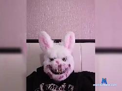 Cvarlie bongacams live cam performer profile