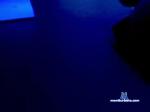 Alex-Snake1 bongacams livecam show performer room profile