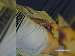 Nexc1988 bongacams livecam show performer room profile