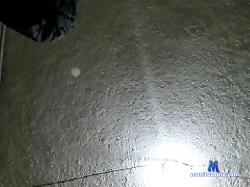 NePezito bongacams live cam performer profile