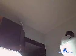 ObedientBoy91 bongacams live cam performer profile